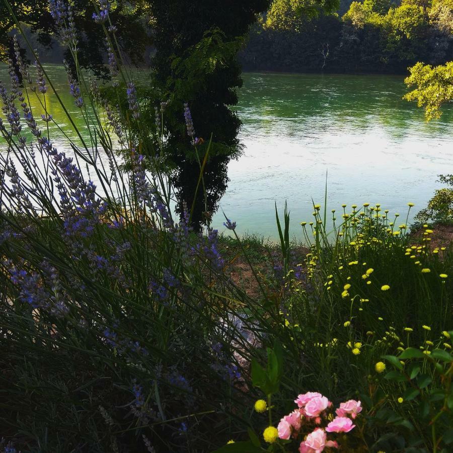 Kucica Na Drini Nikolija II Villa Bajina Basta Exterior foto